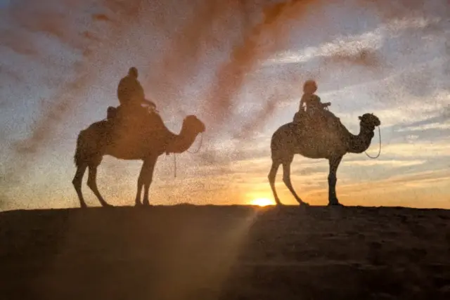 Camellos en fila atravesando las dunas de Erg Chebbi, en Merzouga, con la luz del atardecer